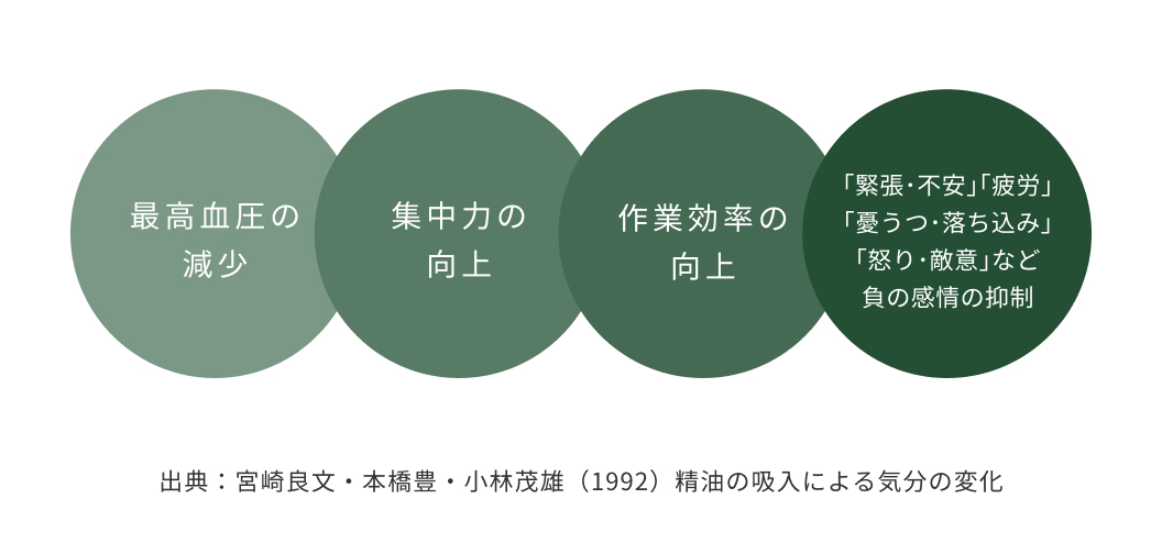 画像：森の香りがストレスを軽減し、集中力を高める