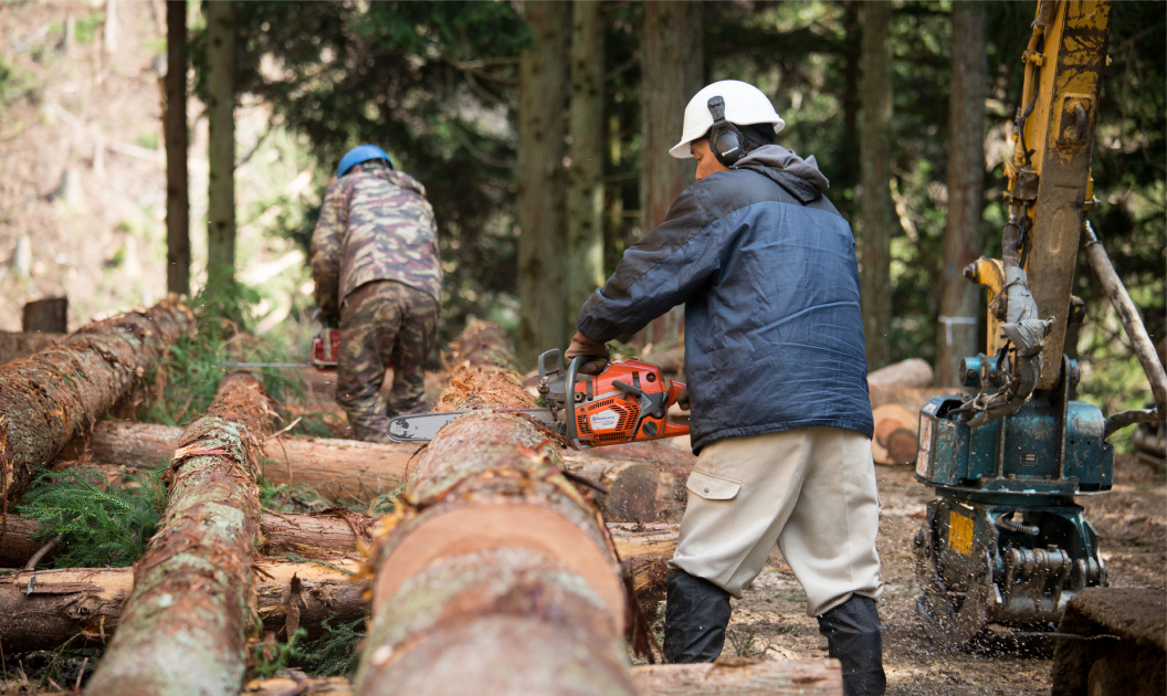 新日本建設の木材品質管理