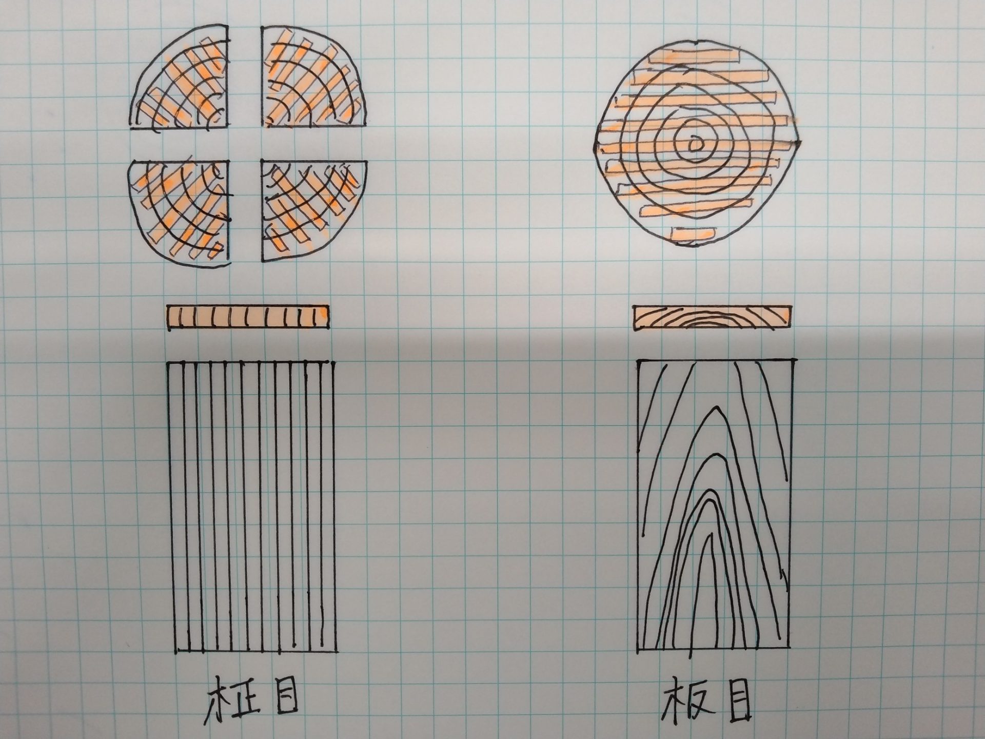 柾目と板目 | 愛媛県松山市で自然素材の家・無垢材の家建築 | 新日本建設株式会社