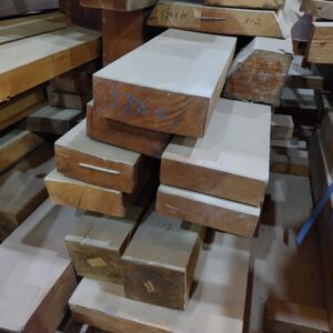 いつもと違う木