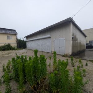 鉄骨倉庫を店舗リノベーション　工事中をご紹介!!