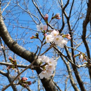 お引き渡し物件のご紹介