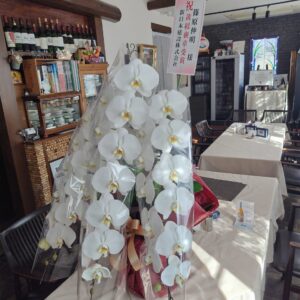 黄綬褒章おめでとうございます。