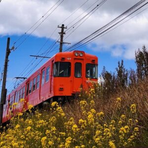 イメージ：上棟