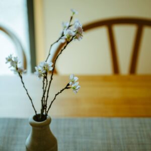 今年度もよろしくお願いいたします🌸