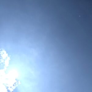 夏本番。