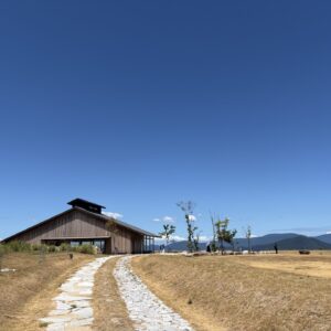 夏の思い出2026
